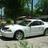 LA stang