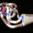 CrazyCobra