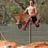Shane_713