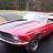 stang302v8