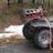 stangmuscle302