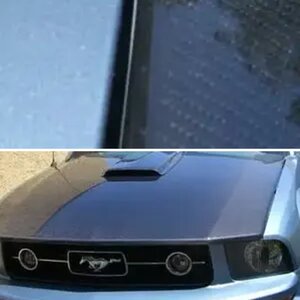 stang