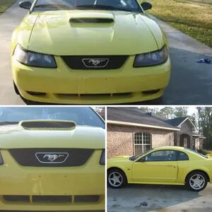 My Stang