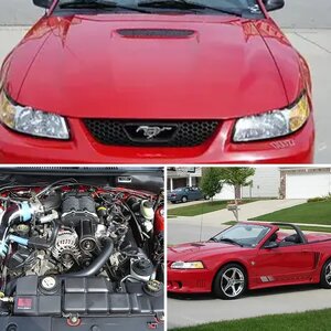 My Saleen