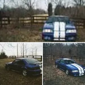 5.0