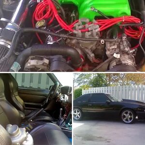 project beast