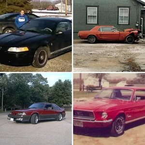 The Family Corral
