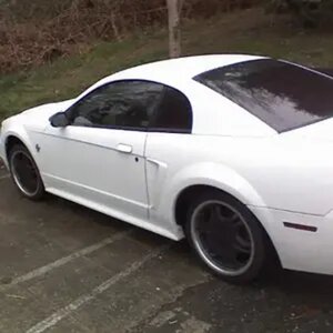 the american muscle