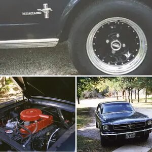 My 65 Stang (when it was an I6)