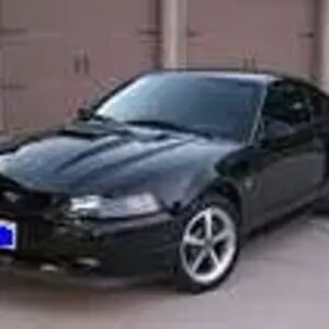 My mustang
