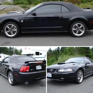 My '04 Triple Black Vert