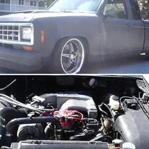 The Beast