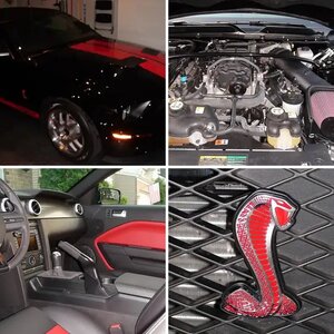 '08 GT500 vert w/Limited red appearance package