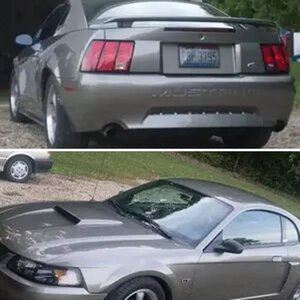 stang