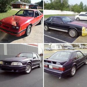 my stangs