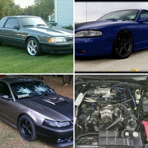 My Whips