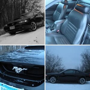 My GT