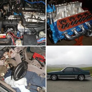91 gt