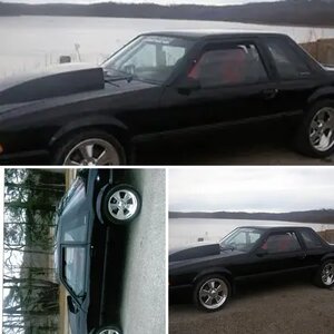 henry"s mustang