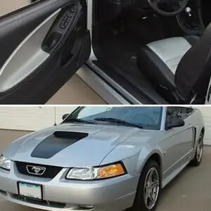 1999 L.E. Vert