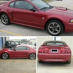 Stang Pics
