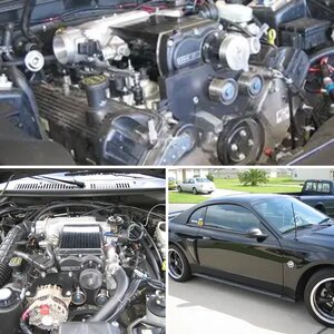 my stang