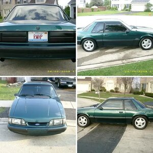 1991 Notch