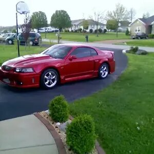 2000 MUSTANG GT