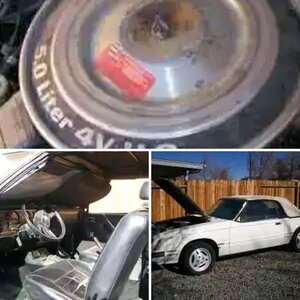 My Mustang