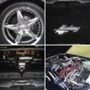 MUSTANG