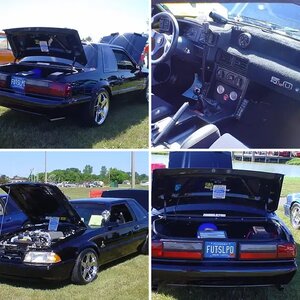 FHP Mustang