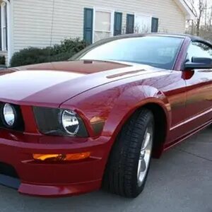 My Stang