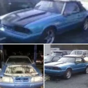 Project