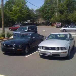 stangs