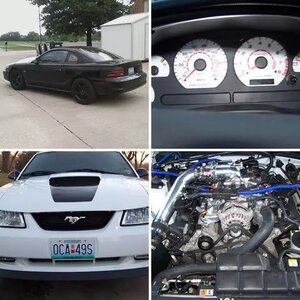 my stang