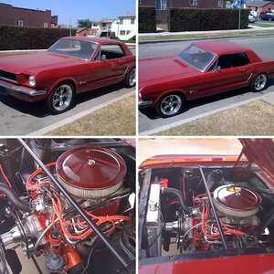 THA STANG