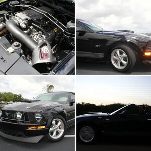 07 GT mach1 vert
