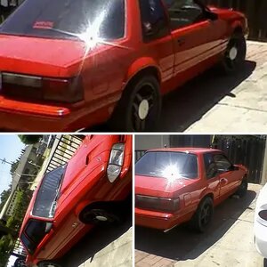 87 notchback