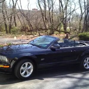 My Stang