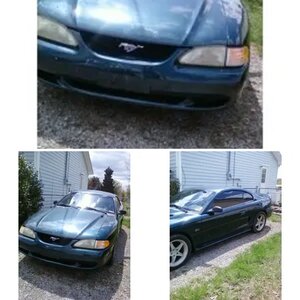 my stang