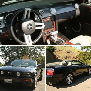 Guy's '06 GT Vert