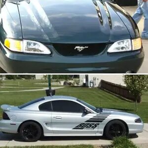 My stangs