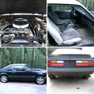 stang project
