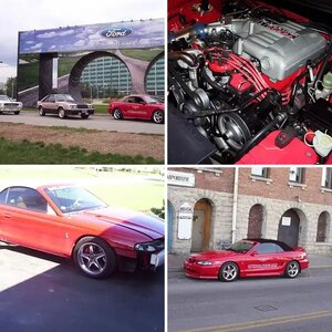 1994 Cobra Pace car