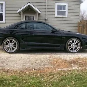 My Stang