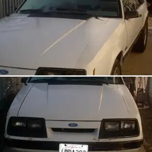 My first mustang