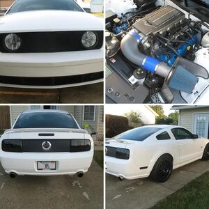 MY STANG