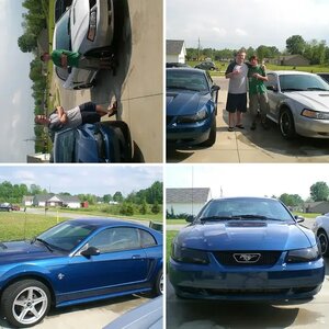 Mystang