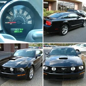 2009 Mustang GT