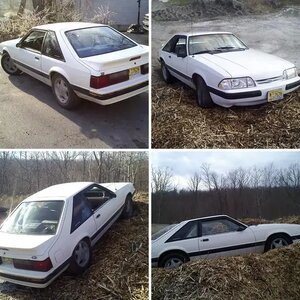 off road stang